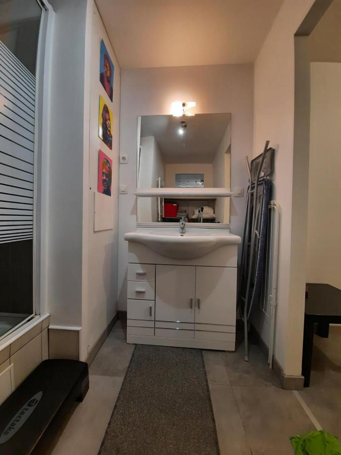 Copropriete Les Iris Apartman Saint-Etienne  Kültér fotó