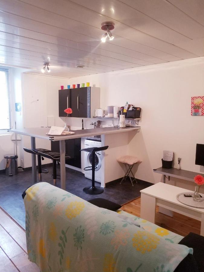 Copropriete Les Iris Apartman Saint-Etienne  Kültér fotó